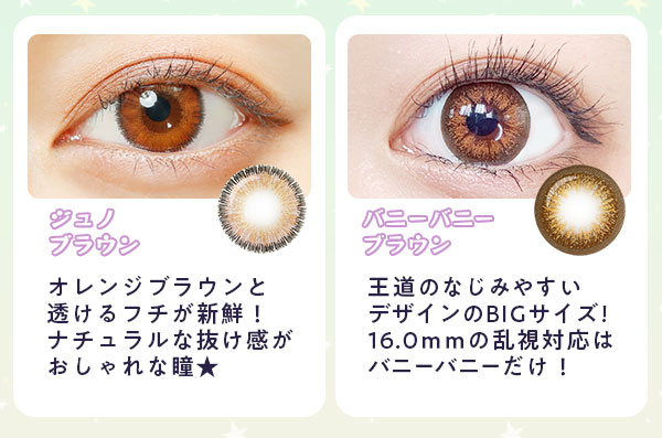 ジュノブラウン　バニーバニーブラウン