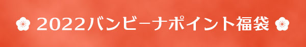 2022 バンビーナポイント福袋
