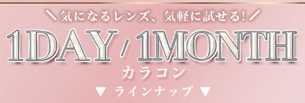 ワンデーワンマンス新発売